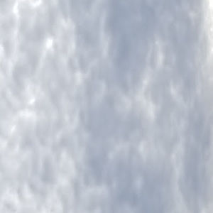 Meet your Posher, Lyla